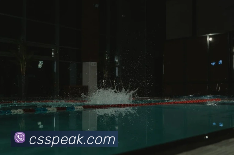 半岛官网网页版平台生态图