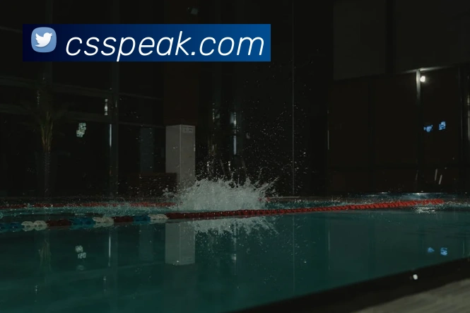 半岛官网网页版APP 封面图